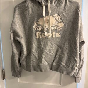 Roots Gray Hoodie